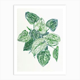 Fittonia Maranta Botanical Line Illustration 4 Art Print