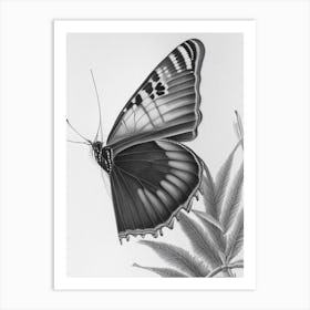 Black Swallowtail Butterfly Greyscale Sketch 1 Art Print
