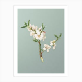 Vintage Almond Tree Flower Botanical Art on Mint Green n.0524 Art Print