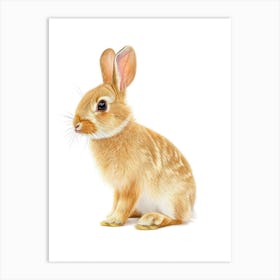 Chinchilla Rabbit Nursery Illustration 3 Art Print