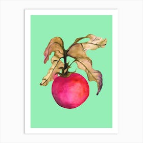 Tomato In Watercolors Art Print