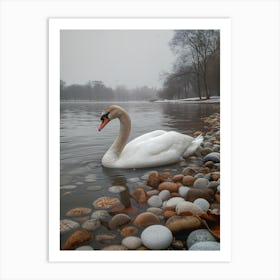Swan In The Lake Art Print
