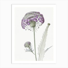 Scabiosa Floral Quentin Blake Inspired Illustration Flower Art Print