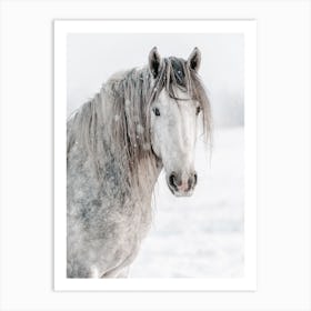 Gray Winter Horse Art Print