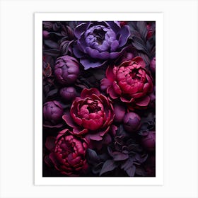 Peonies In Purple And Black Art Print