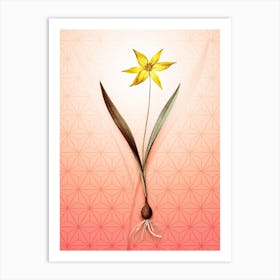 Tulipa Celsiana Vintage Botanical in Peach Fuzz Asanoha Star Pattern n.0087 Art Print