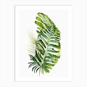 Tasmanian Tree Fern Watercolour Art Print