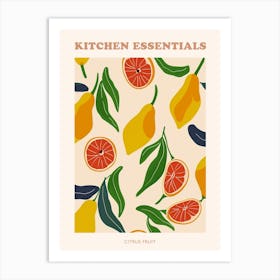 Citrus Fruit Abstract Illustration Poster 3 Art Print