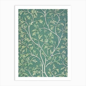 Quercus Garryana tree Vintage Botanical Art Print