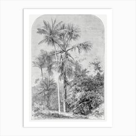 Vintage Palm Tree Art Print _2643186 Art Print