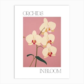Orchids In Bloom Flowers Bold Illustration 3 Art Print