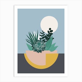 Colourful Succulent Planter Art Print