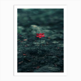 Red Flower In The Dirt Art Print