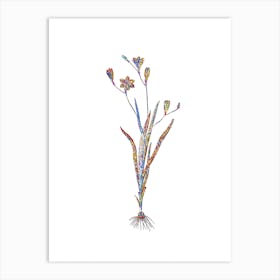 Stained Glass Ixia Bulbifera Mosaic Botanical Illustration on White n.0331 Art Print