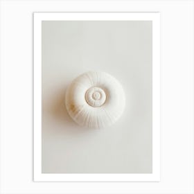 Shell On A White Surface Art Print