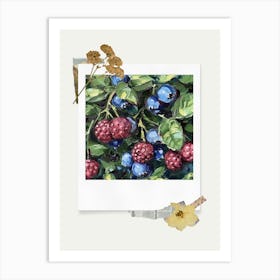 Scrapbook Blueberries Fairycore Painting 2 Art Print