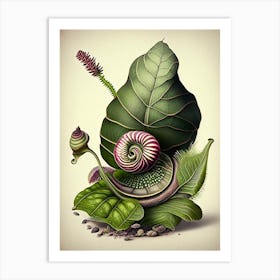 Assassin Snail  1 Botanical Art Print