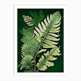 Beech Fern Wildflower Vintage Botanical Art Print