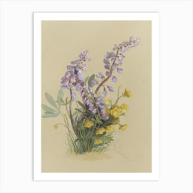 Lupine Flowers Art Print