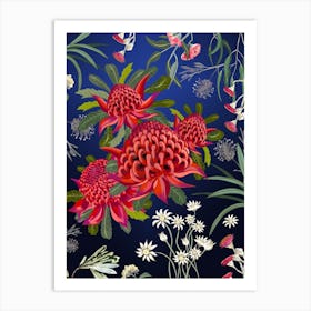 Waratah Australian Flower Red Art Print