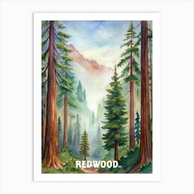 Redwood National Park Watercolor Painting Art Print