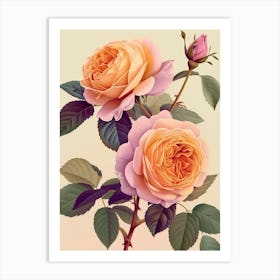 English Roses Painting Rose With Leaves 1 Art Print