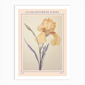 Iris French Flower Botanical Poster Art Print