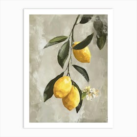 Lemons On A Branch 7 Art Print