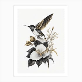 Berylline Hummingbird Vintage Gold & Black Art Print