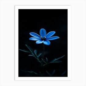 Dark Blue Flower 1 Art Print