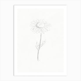 Daisy Pencil Drawing 1 Art Print