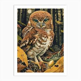 Northern Pygmy Owl Relief Illustration 4 Art Print