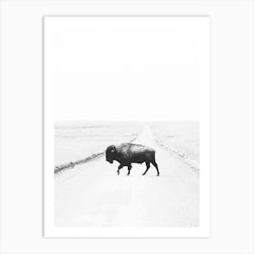 Bison On Road Art Print