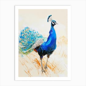 Peacock Walking Sketch Art Print