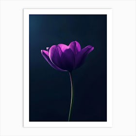 Purple Tulip Art Print