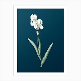 Vintage Tall Bearded Iris Botanical Art on Teal Blue n.0400 Art Print