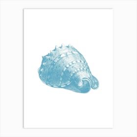 Sea Shell Art Print