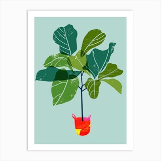 Fiddle Leaf Fig Tree Art Print