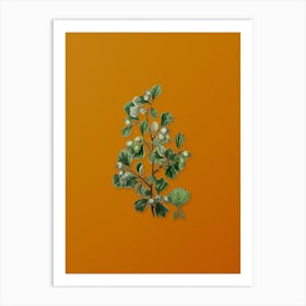 Vintage Spathula Leaved Thorn Flower Botanical on Sunset Orange n.0006 Art Print