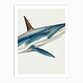Mako Shark Vintage Art Print