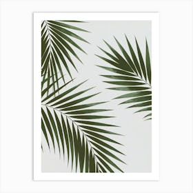 Tropical Canvas Art: Lush green palm leaves overlapping , showcasing vibrant natural tones. Perfect for modern minimalist and tropical decor lovers. Art Print