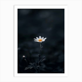 Daisy 21 Art Print