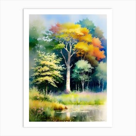 Trees By The Pond Art Print