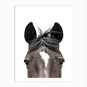 Brown Horse's Head Art Print