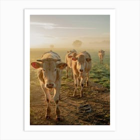 Close Encounters with the Cows Art Print