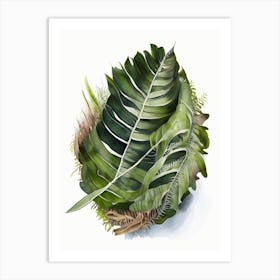 Bird S Nest Fern Watercolour Art Print