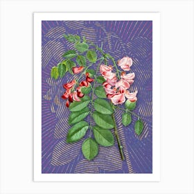 Vintage Robinier Rose Bloom Botanical Illustration on Veri Peri n.0735 Art Print