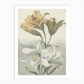 Lily Of The Valley 15 Art Print