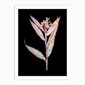 Stained Glass Globba Erecta Mosaic Botanical Illustration on Black n.0193 Art Print