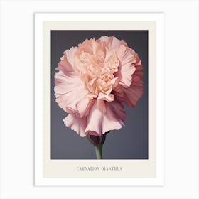 Floral Illustration Carnation Dianthus 4 Poster Art Print